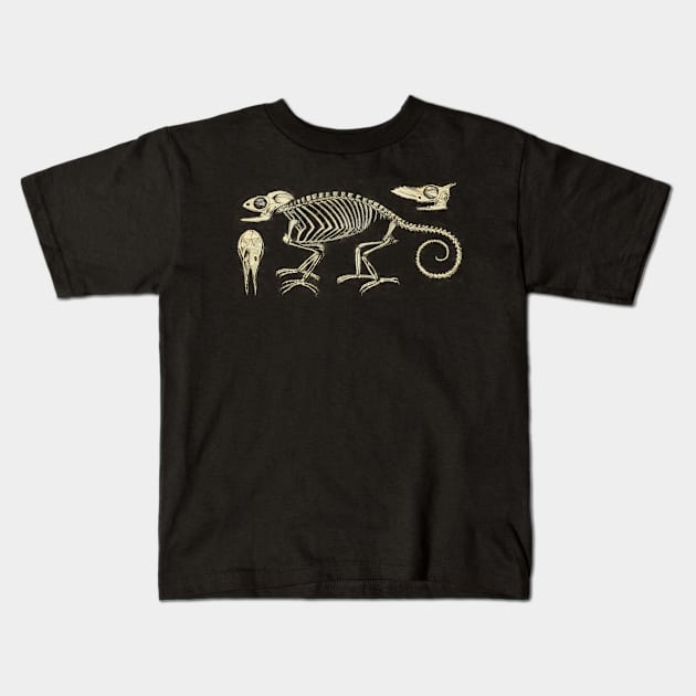 Chameleon Skeleton Anatomy Vintage Science Kids T-Shirt by MoPaws